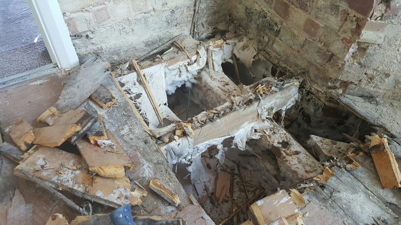 Timber Preservation 